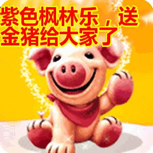 精准一码发财11,最佳精选数据资料_手机版24.02.60