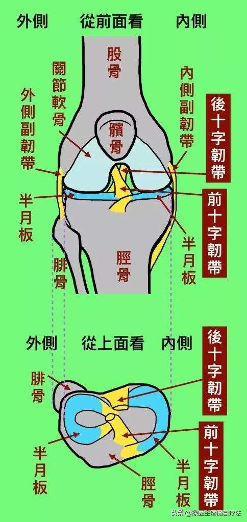 练体育膝盖疼怎么治,最佳精选数据资料_手机版24.02.60