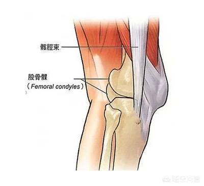 练体育膝盖疼怎么治,最佳精选数据资料_手机版24.02.60