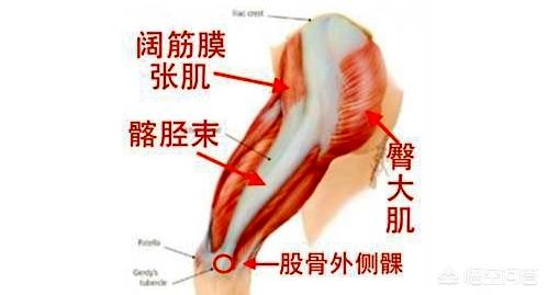 练体育膝盖疼怎么治,最佳精选数据资料_手机版24.02.60