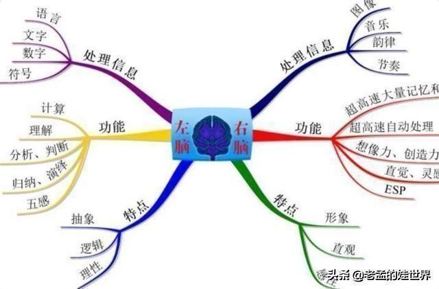 蓝月亮解四不像10期中9期稳赢吗,最佳精选数据资料_手机版24.02.60