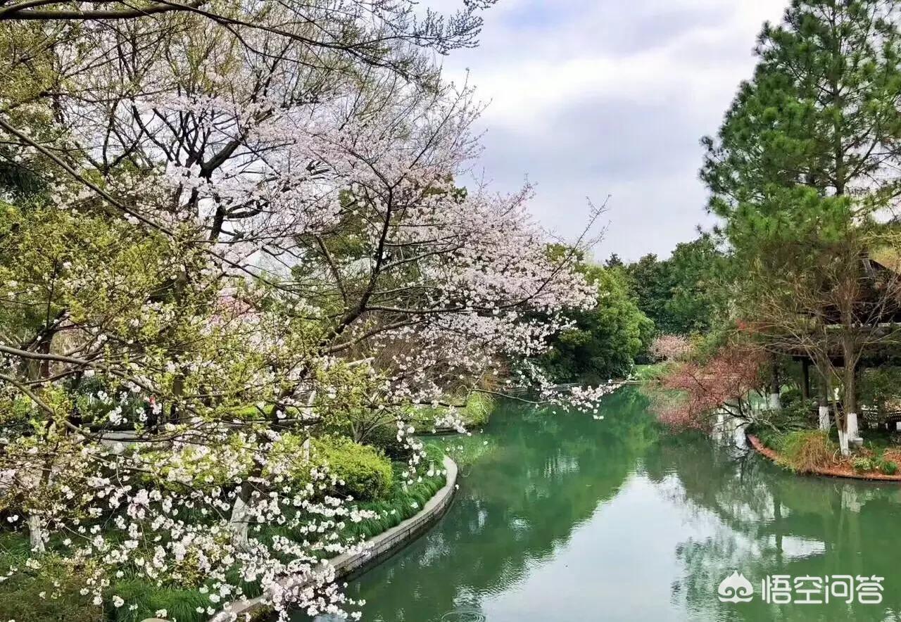 风平浪静的闲暇免费观看高清,最佳精选数据资料_手机版24.02.60