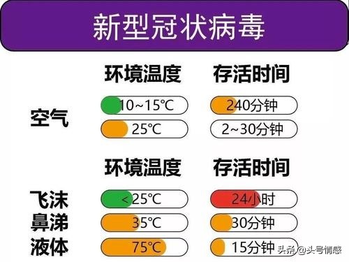 黎明之战电视剧40集完整版,最佳精选数据资料_手机版24.02.60