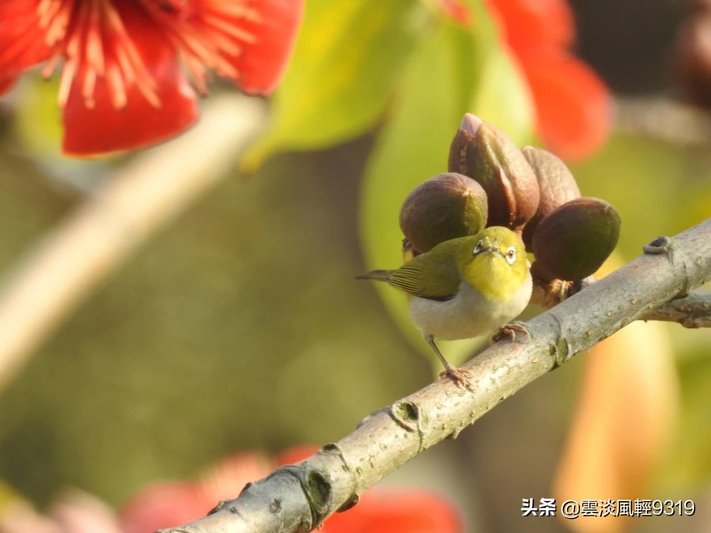 澳门正版资料免费跑狗软件亮点,最佳精选数据资料_手机版24.02.60