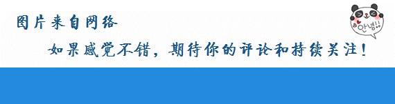 中国队老将再次征战奥运,最佳精选数据资料_手机版24.02.60