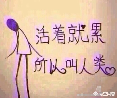 今晚有什么体育比赛,（今晚有什么体育比赛?）