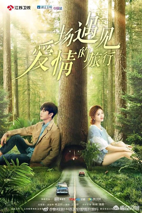 一场遇见爱情的旅行,（一场遇见爱情的旅行电视剧免费观看）