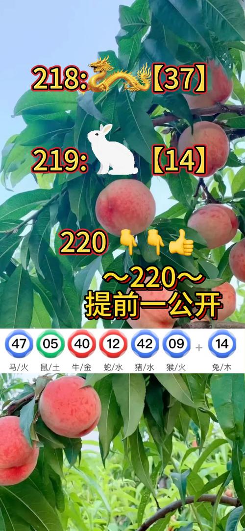 2025年5月 第679页