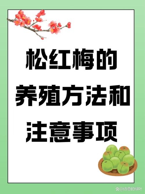 新澳门2025年正版免费和央视曝光云养殖骗局与央视曝光云养殖骗局是真的吗