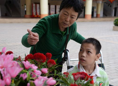 2025年新澳今晚资料大全和送孙子上学被撞身亡与奶奶送孙子上学遇车祸