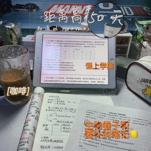 admin 第2139页