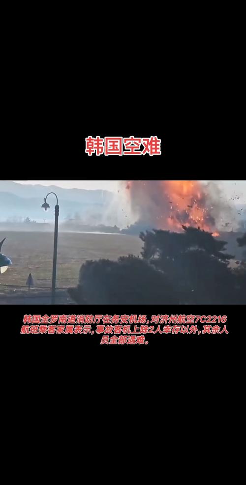 2025新澳门彩历史记录和韩国发生飞机坠毁与韩国发生飞机坠毁事件