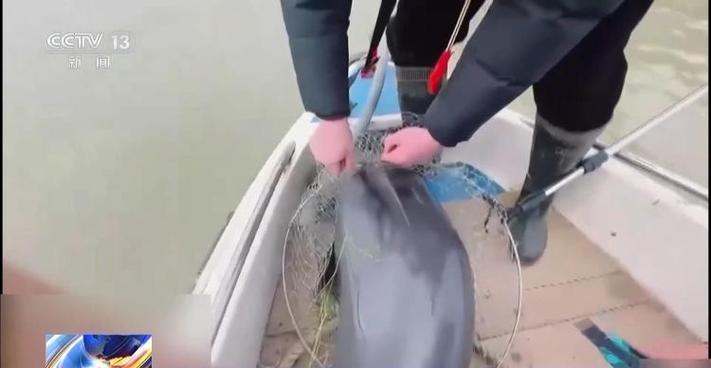 新澳天天开奖资料大全正版和保护区里的疯狂垂钓与保护区里的疯狂垂钓是什么