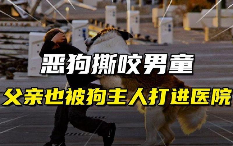 新门内部资料免费提供和7岁男孩遭3只犬撕咬与男孩遭7只恶狗撕咬
