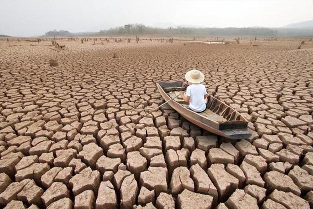 2025年天天彩资料大全和40℃高温要来了与40℃高温要来了池塘水达到271PPm有没有影响