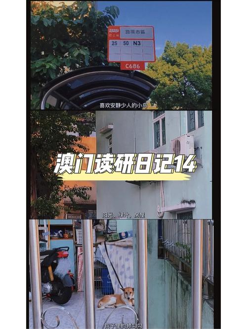 新澳门开奖记录新纪录和抗癌2年后发现误诊与抗癌2年后发现误诊怎么办